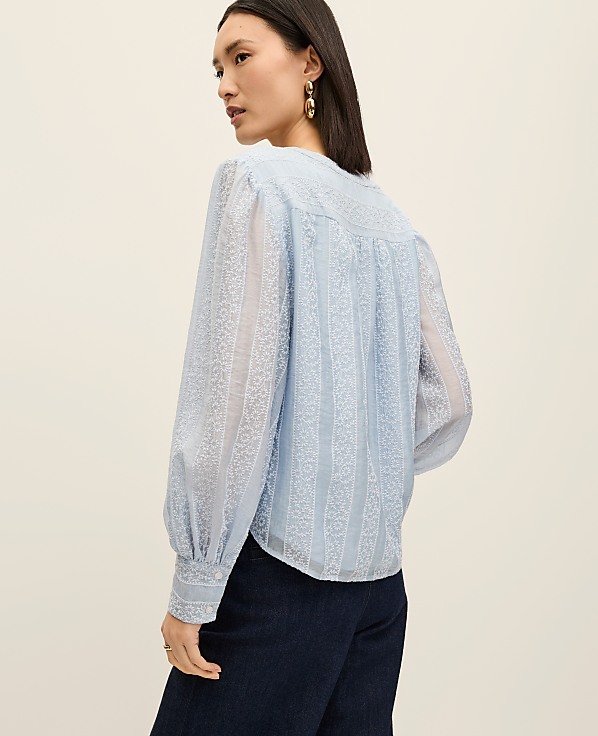 Petite Embroidered  V-Neck Blouse