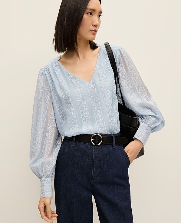 Petite Embroidered  V-Neck Blouse