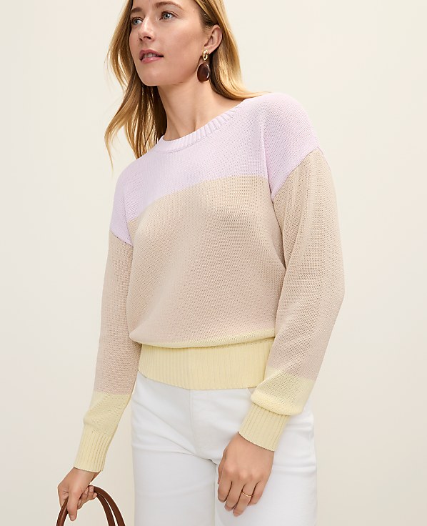 Colorblock Crew Neck Sweater