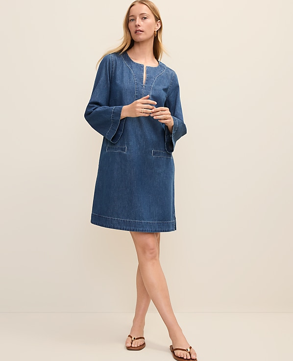 Petite Weekend Split Collar Denim Shift Dress
