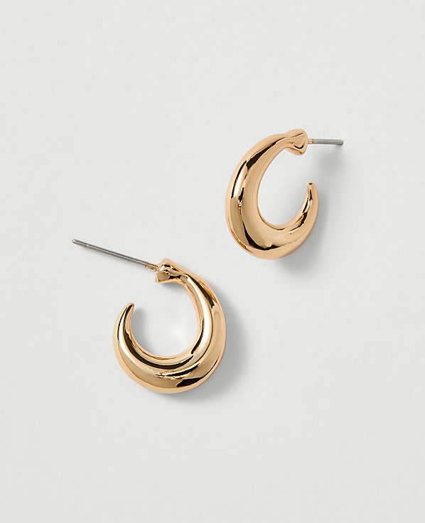 Mini Hoop Earrings