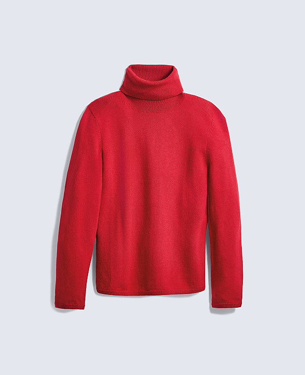 Essential Turtleneck Sweater