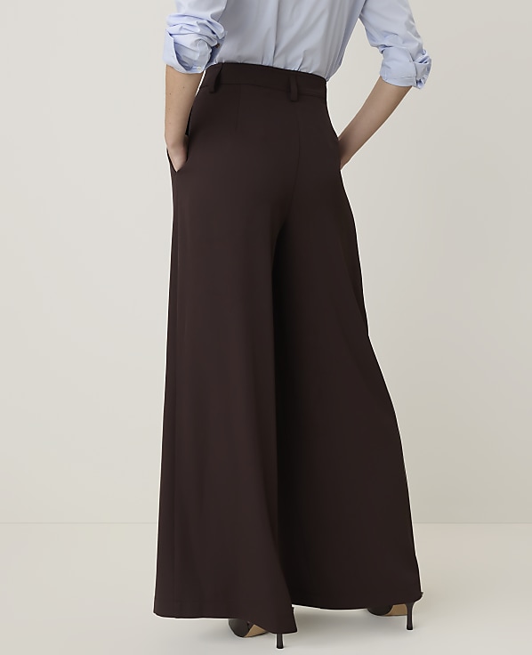A person wearing brown wide-leg pants and a light blue shirt stands against a plain white background.