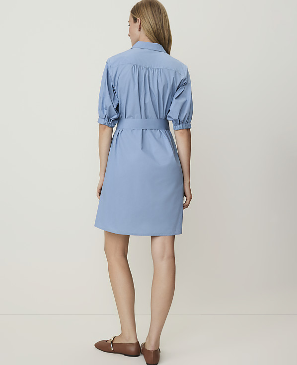 Petite Weekend Collared Shirtdress