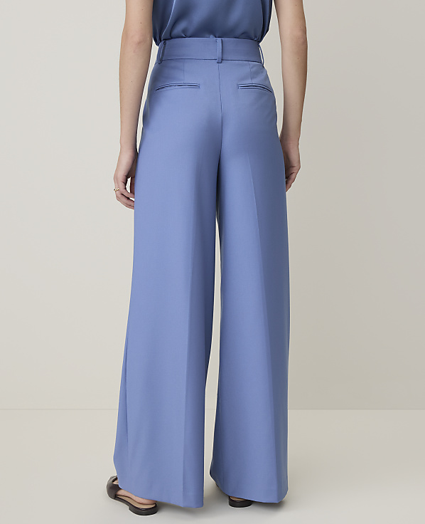 The Tall Pleated Wide-Leg Pant