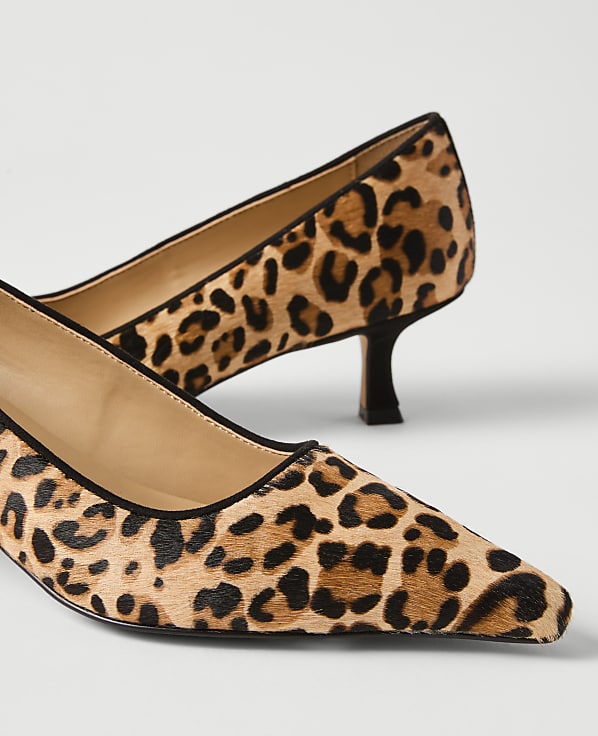 A pair of leopard-print kitten heels with black trim are in the foreground, set against a plain white background.