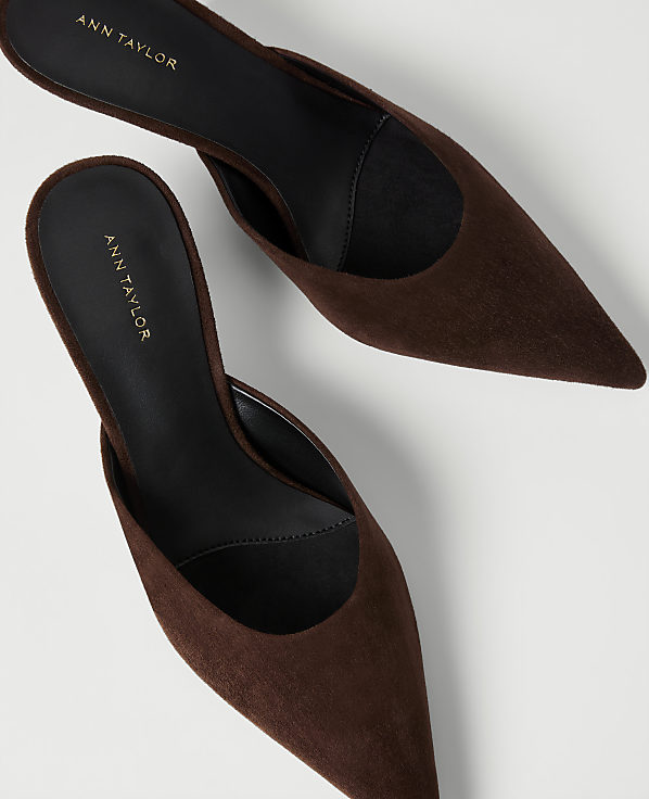 Two brown pointed-toe mules with "ANN TAYLOR" printed on the insoles are positioned against a plain white background.