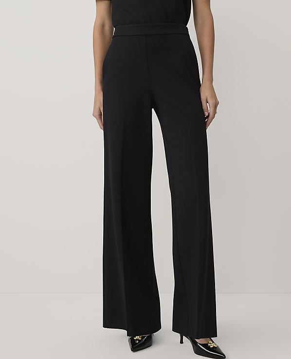 A person wearing black wide-leg trousers and pointed heels stands against a plain white background.