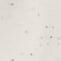 Cream Speckle