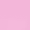 Pink Orchid