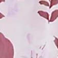 Spring Lilac B