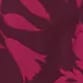 Poised Plum