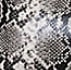 Black/ Neutral Snakeskin