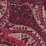 Poised Plum