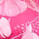 Bougainvillea