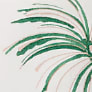Frech Cut Green