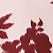 Rich Merlot
