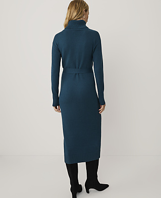 Petite Belted Turtleneck Sweater Dress