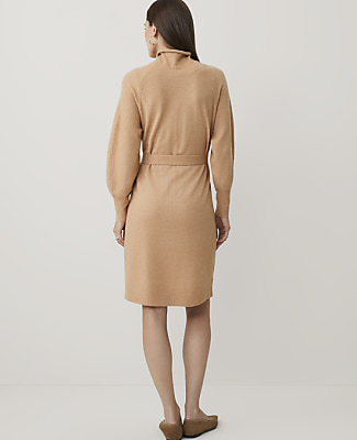 Weekend Rolled Neck Sweater Dress