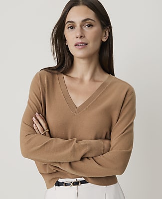 Ann Taylor V-neck Sweater In Pecan