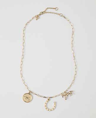 Ann Taylor Horseshoe Charm Necklace In Goldtone