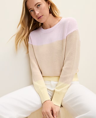 Petite Colorblock Crew Neck Sweater