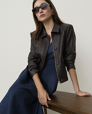 Petite Seamed Denim Flare Midi Dress
