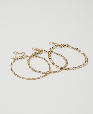 Ann Taylor Chain Link Bracelet Set In Goldtone