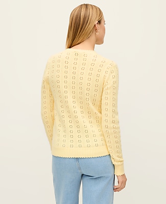 Cozy Pointelle Sweater