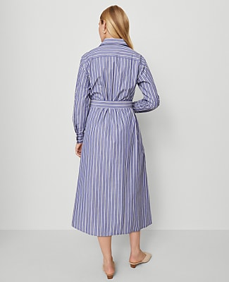 Petite Striped Collared Midi Shirtdress