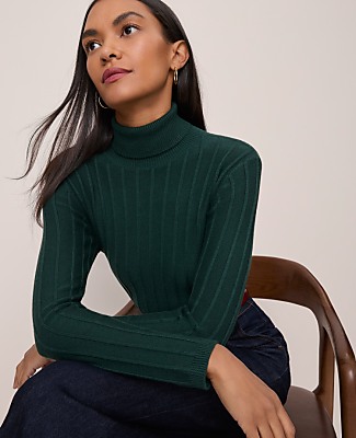 Ribbed Turtleneck Sweater