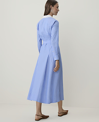 Petite Striped Lace Collar Midi Shirtdress