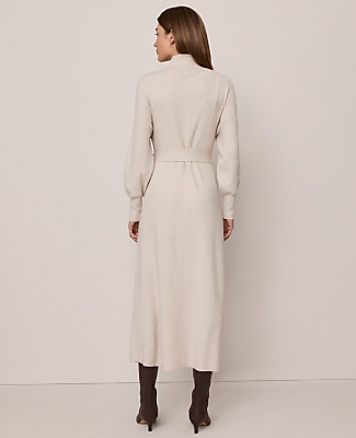 Weekend Ribbed Turtleneck Sweater Dress