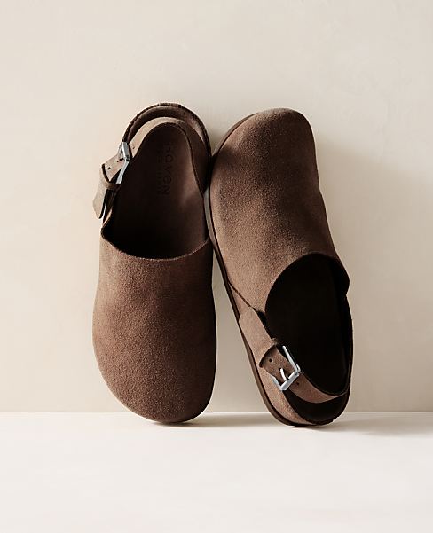 Haven Well Within Suede Buckle Clogs