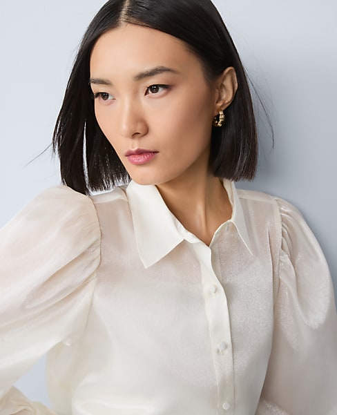 Organza Voluminous Collared Shirt