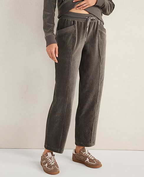 Haven Well Within Corded Velour Pants