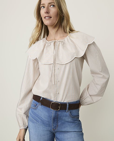 Ann Taylor Weekend Striped Tie Neck Blouse Rye Women's