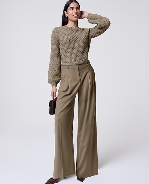 The Petite Pleated Wide-Leg Pant