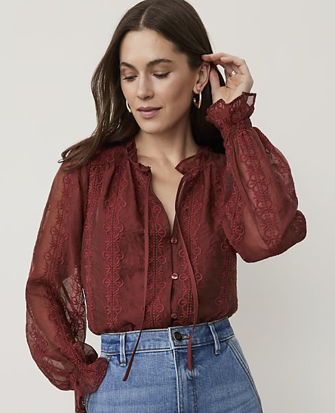 Embroidered Blouson Sleeve Blouse