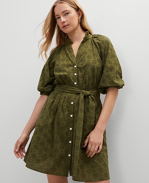 Petite Eyelet Ruffle Neck Flare Dress