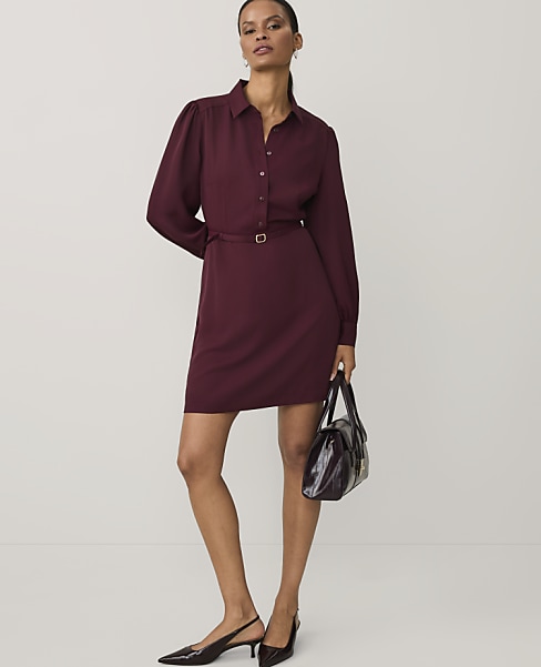 Petite Belted Mini Shirtdress