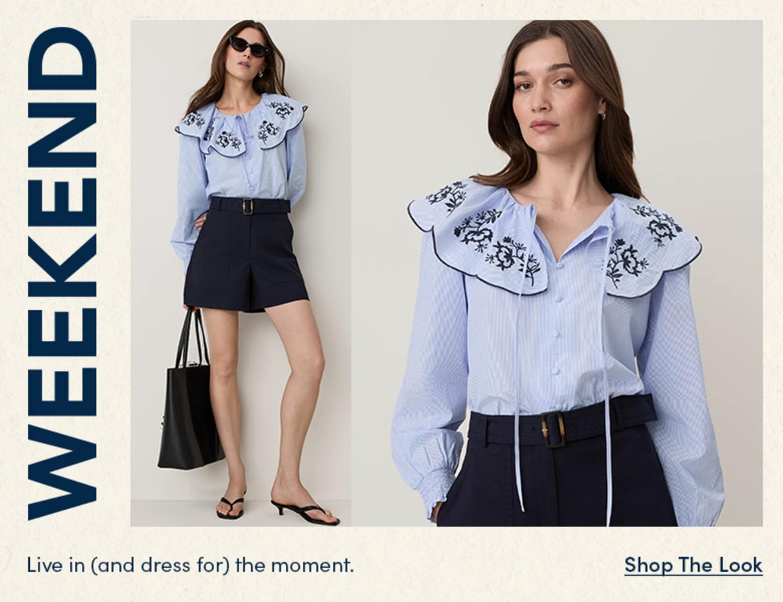 Shop Ann Taylor