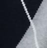 Petite Pleated Argyle Jacquard Sweater Skirt